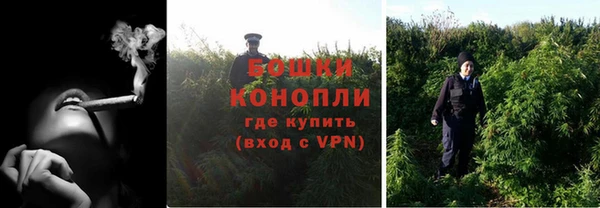наркотики Бородино