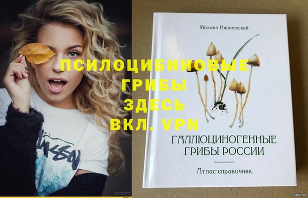 гидропоника Бугульма