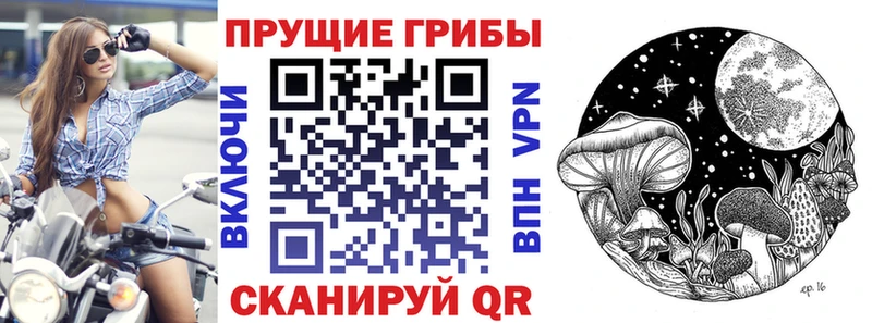 Псилоцибиновые грибы мухоморы  мориарти официальный сайт  Верхняя Тура 
